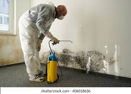 Best Forensic Mold Investigation  in Harbor Hills, OH